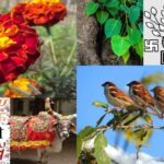 Bihar Diwas in Hindi know the all state symbol of bihar like state flower animal bird anthem and prayer