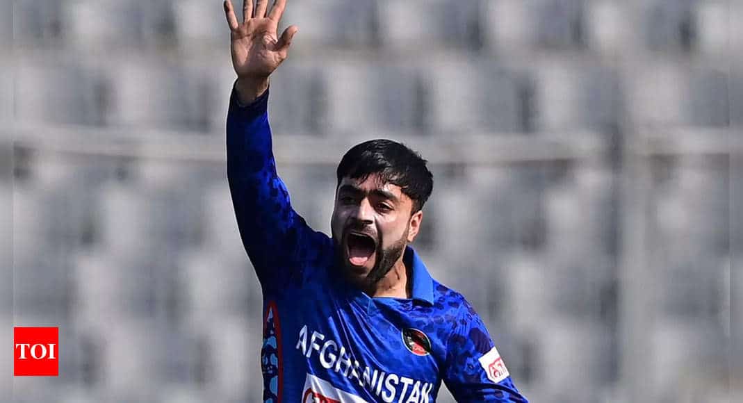 Conditions never bother me, I focus on my skill-set: Rashid Khan |  CricketNews
