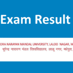 BNMU Result 2022 Part 1, 2, 3 @bnmu.ac.in BA/BSc/BCom Results