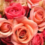 Here is a list of popular Mother's Day flowers and what they represent