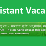 IARI Assistant Recruitment 2022 Notification pdf!  462 Asst Apply Online