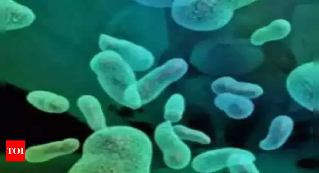 Kerala: Shigella infection caused Kasaragod food poisoning, says health department |  Kozhikode News