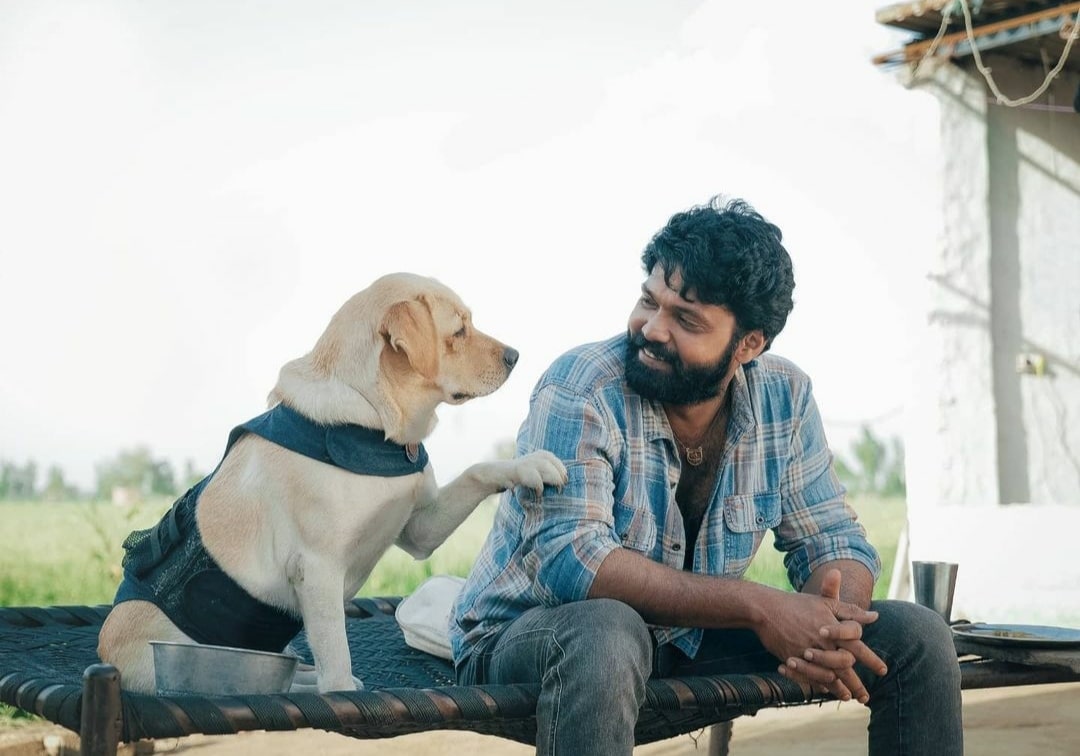 ‘777 Charlie’ review: A pawsome film with a wave of emotions