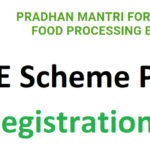 Formalization of Micro Food Enterprises Form
