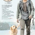 MovieReview|  777 Charlie, a celebration of unconditional love- The New Indian Express