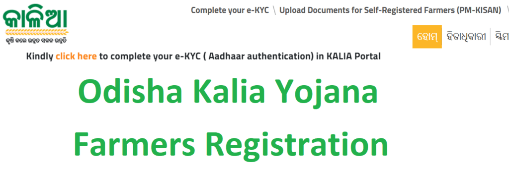 Odisha Kalia Yojana Registration 2022-Apply Online Form