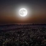 Strawberry Supermoon on June 14;  When and How to watch celestial event online?