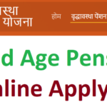 Vridhavastha Pension Yojana Online Form 2022 Old~age Pension Registration