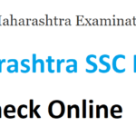 mahresult.nic.in SSC Result 2022 10th Name Wise Topper List