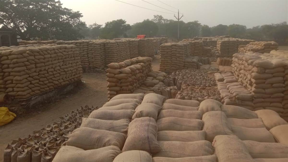 Janjgir-champa News: 15 lakh quintals of paddy jammed in procurement centers