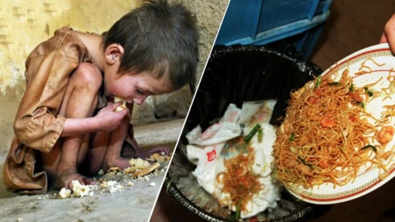 UN Report on Food: 1 trillion dollar food waste, 78.3 crore people sleep hungry, know UN report un report food waste index 1 Trillion dollar Indians waste food per year 78 crore people Sleep hungry